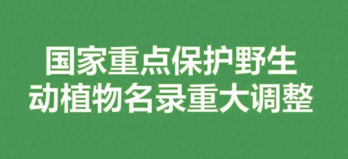 重磅！新版國(guó)家重點(diǎn)保護(hù)野生植物名錄公布，58種/屬列入一級(jí)保護(hù)，值得收藏