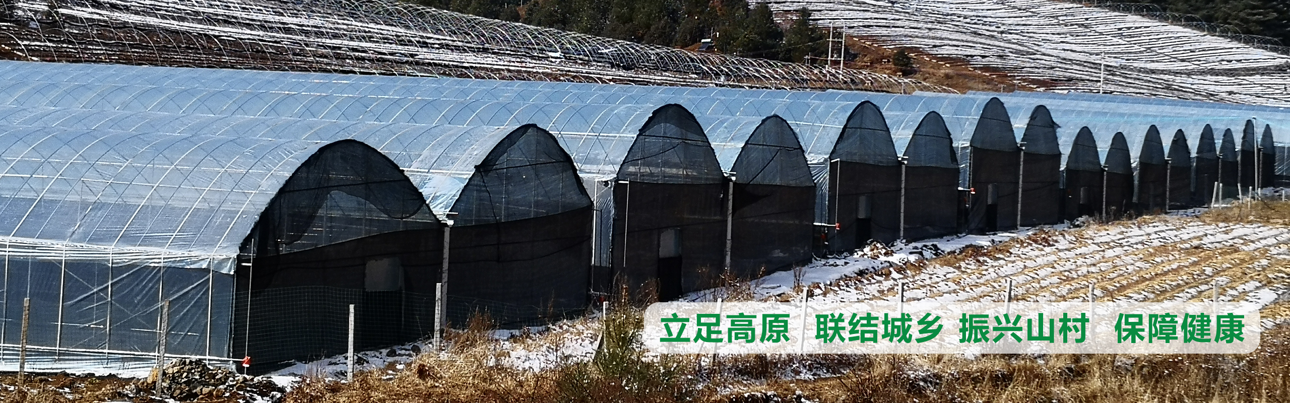 立足高原、聯(lián)結(jié)城鄉(xiāng)、振興山村、保障健康